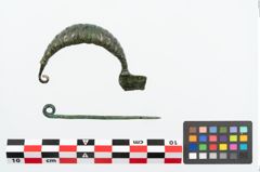 Foto von Bronzekahnfibel (NHMW-PRAE-025966)